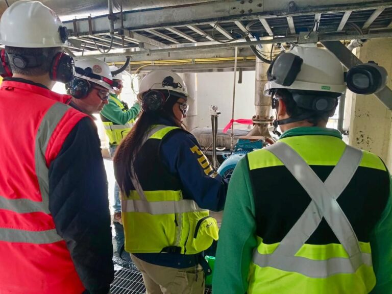 Fiscalía investiga posible contaminación en Celulosa Arauco Valdivia tras denuncia por columna de vapor