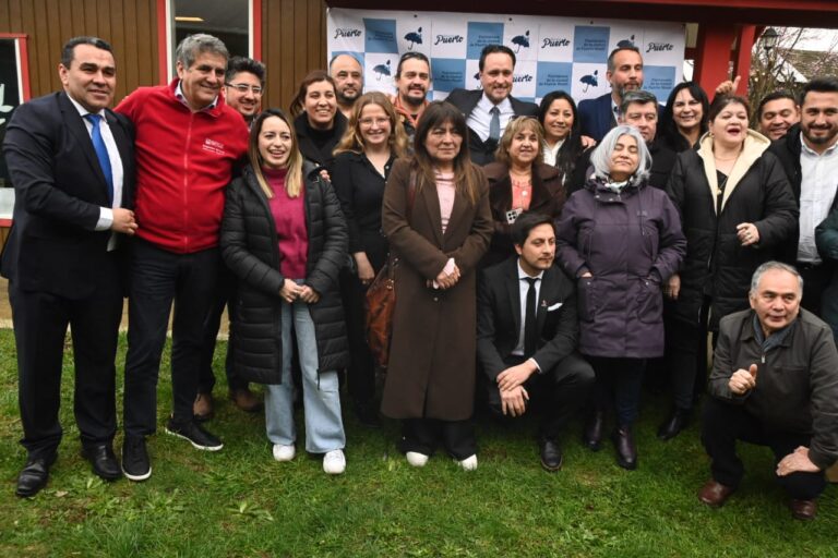 Consejo Regional aprueba más de $1.300 millones para mejoramiento de calles en Puerto Montt