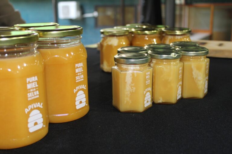 En Valdivia se realizará primera versión del Festival de las Abejas y la Miel