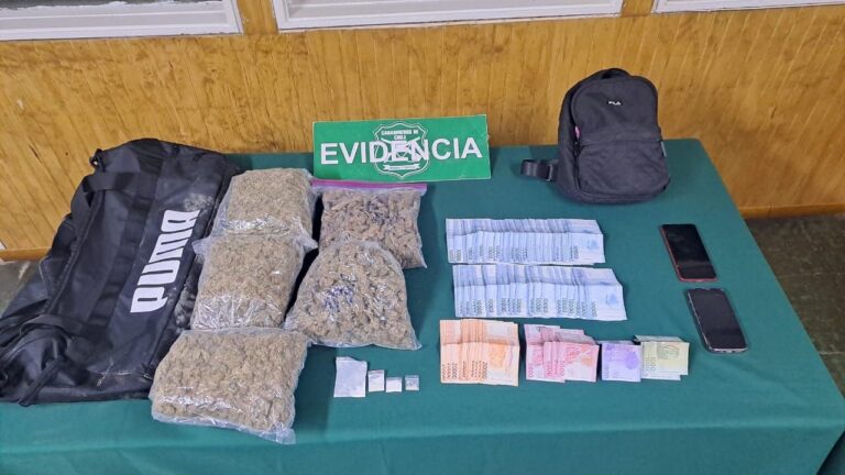 Pareja fue detenida por tráfico de drogas luego de chocar contra un árbol tras eludir un control policial en Paillaco