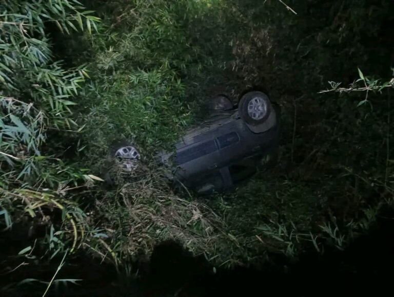 Volcamiento en ruta 588 deja conductor detenido por conducir bajo efectos del alcohol