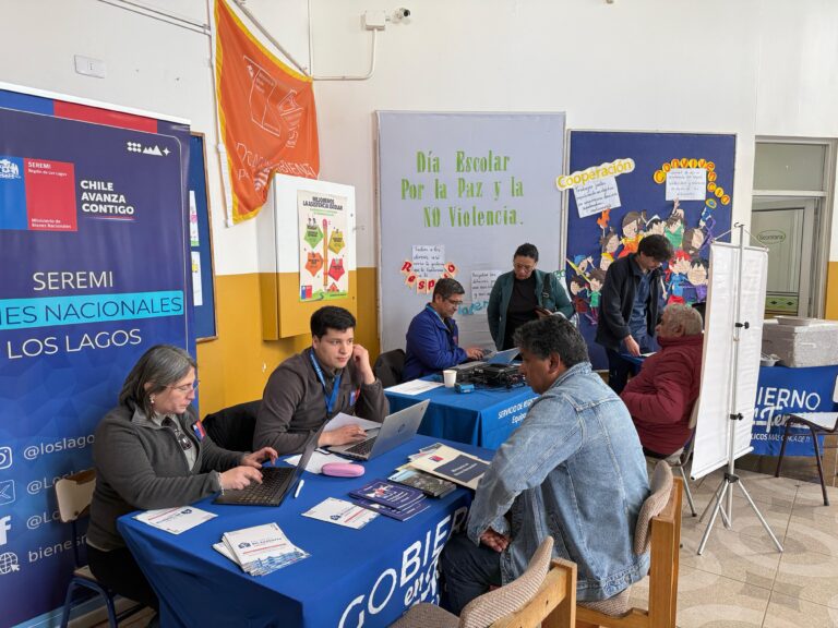 Gobierno en Terreno acercó servicios públicos a comunidad rural de Calbuco