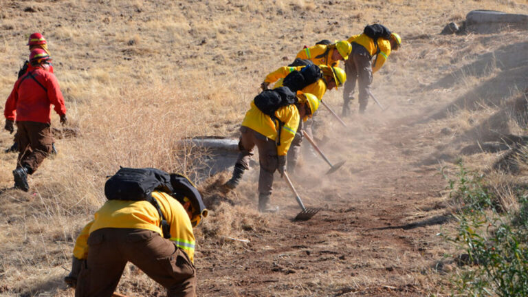 Llaman a postular a los mejores brigadistas forestales para enfrentar la temporada de incendios 2025–2026