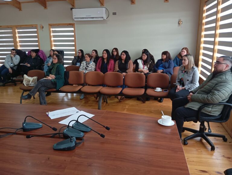 Chonchi fue sede de encuentro provincial de los diferentes programas de SERNAMEG