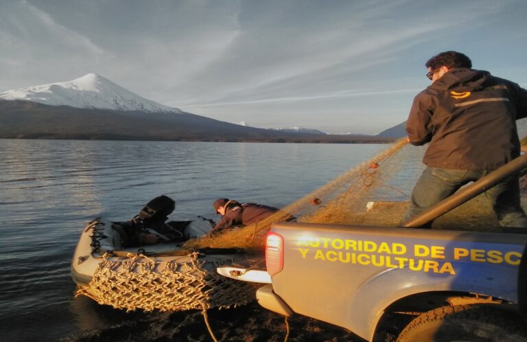 Sernapesca, Carabineros y la Armada de Chile mantienen plan de fiscalización para controlar la pesca ilegal en ríos y lagos de la región
