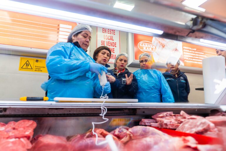 Autoridades regionales fiscalizan carnicería del centro de Puerto Montt