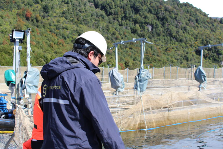 Corte Suprema condena a empresa salmonera al pago de una multa millonaria y suspensión de operaciones