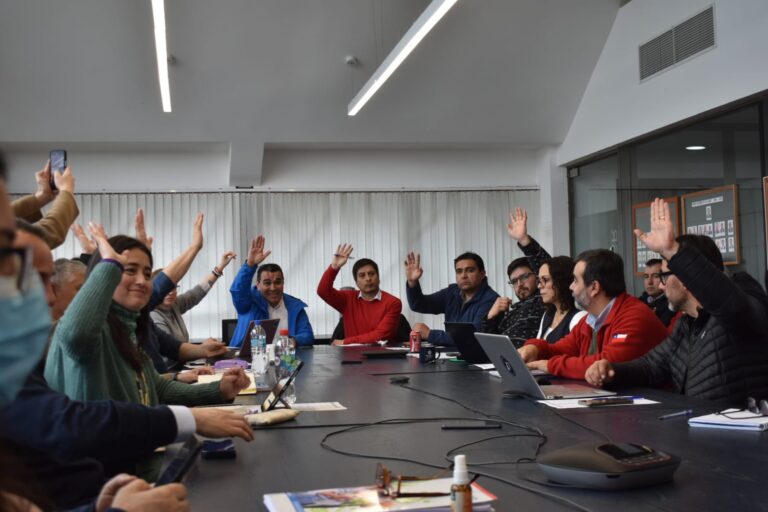 Consejeros Regionales aprueban $1.800 millones para programas de fomento productivo en los 30 municipios de Los Lagos