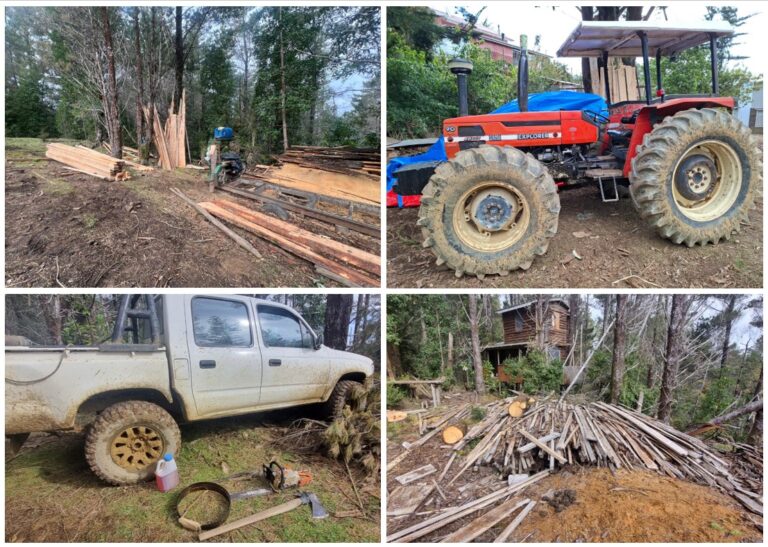 PDI detuvo a un hombre por sustracción de madera en Corral: incautación supera los 26 millones de pesos