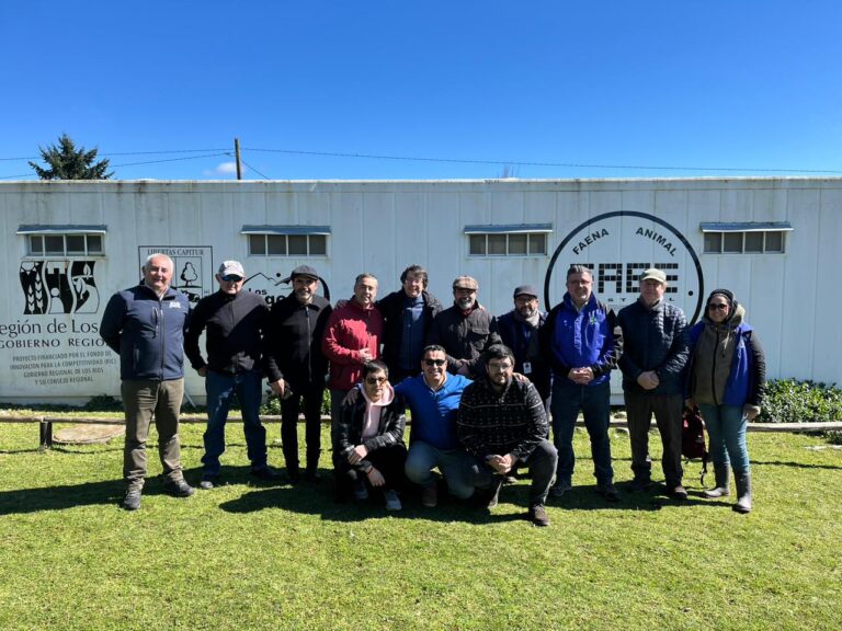 Comisión de Agricultura del CORE visitó plantas de faenamiento ovino en Los Ríos buscando la posibilidad de replicar proyectos en Los Lagos
