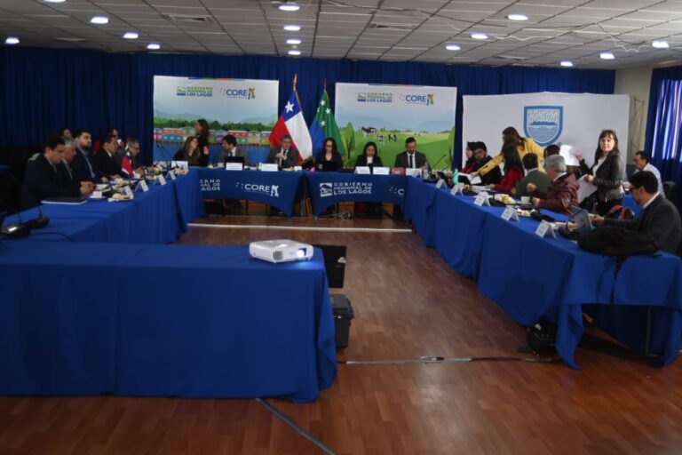 CORE Los Lagos aprueba más de $1.400 millones para agua potable en Calbuco y conservación de caminos en Isla Puluqui