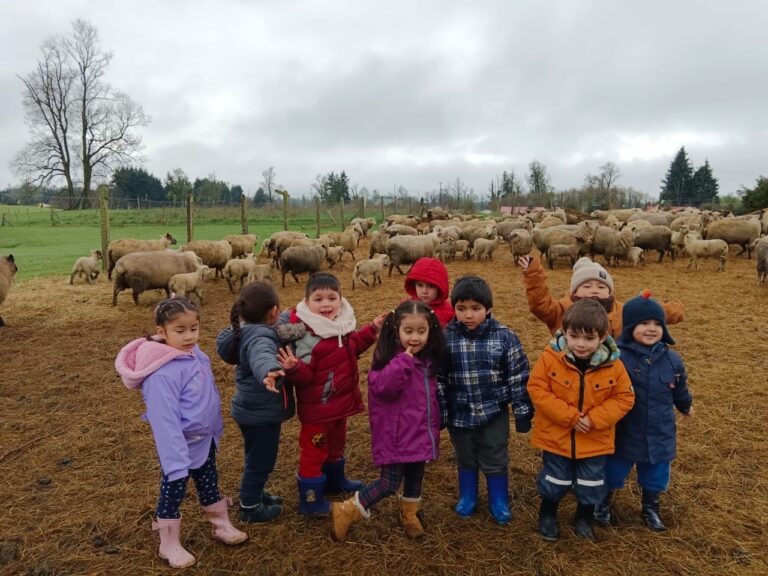 Escuela de Lenguaje Betel realizó significativa salida pedagógica al Rancho Palo Blanco