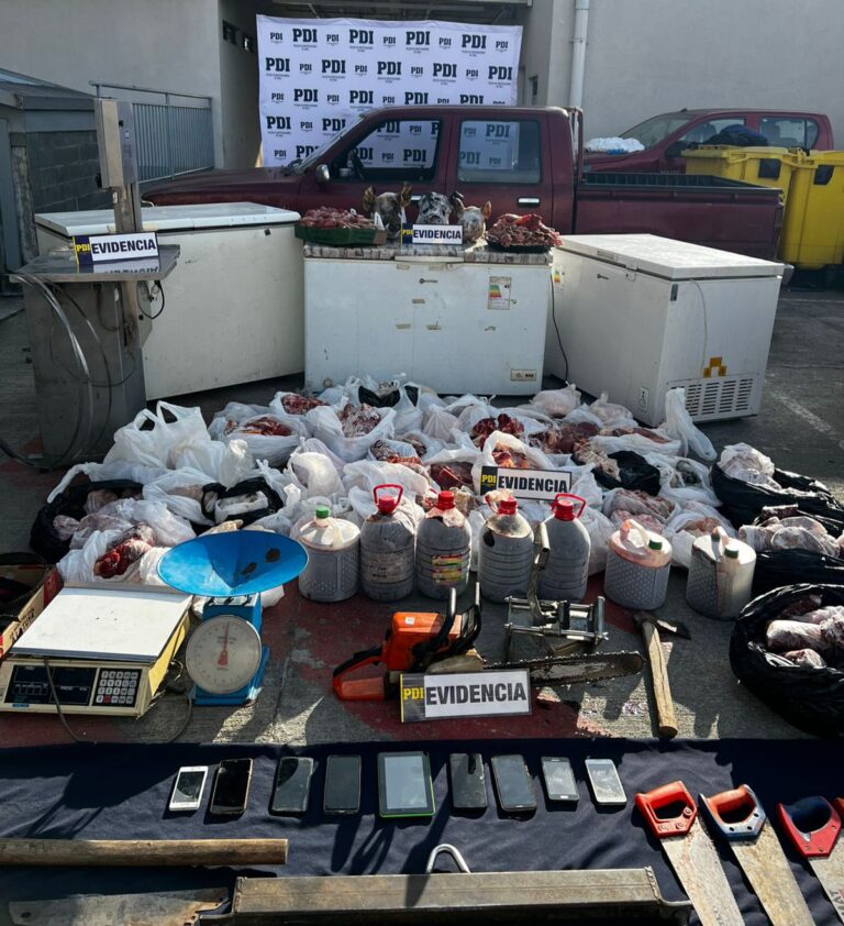 PDI detiene a banda criminal dedicada al abigeato en la provincia de Osorno e incauta más de 260 kilos de carne