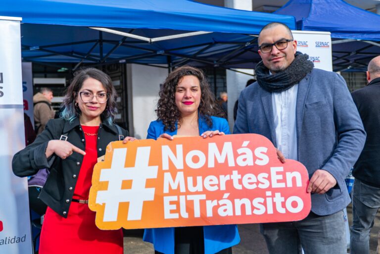 Autoridades regionales encabezan feria de servicios en Puerto Montt en el marco del plan “Por un 18 Seguro”