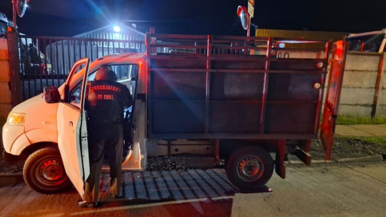 Dos hermanos detenidos por abigeato en Río Bueno