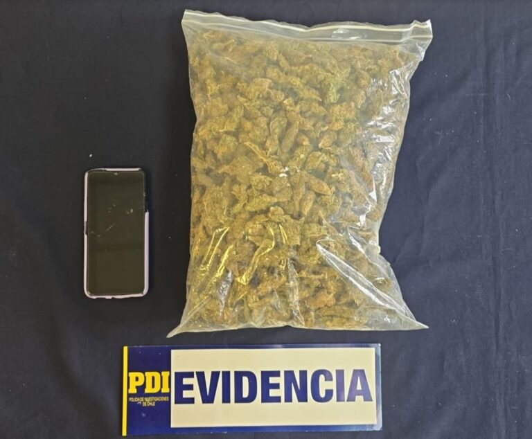 PDI incautó casi un kilo de marihuana que ingresaban en bus interregional a Los Ríos