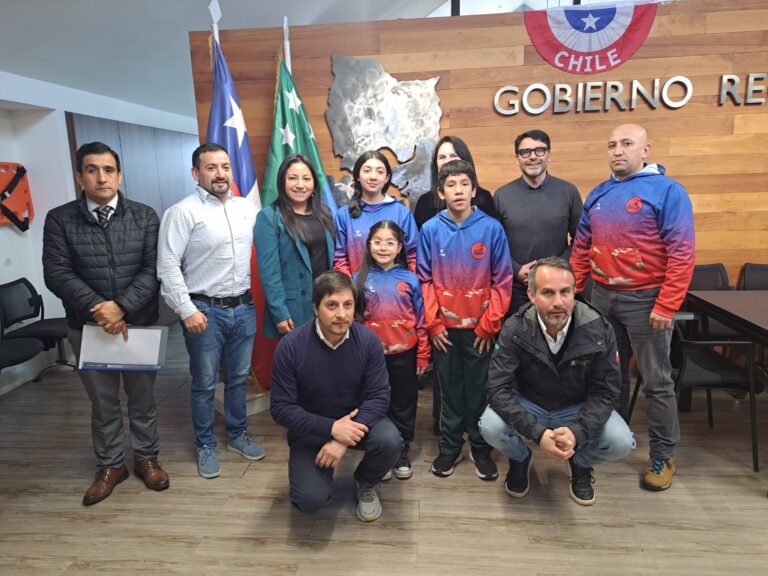 Comisión Provincial Llanquihue del CORE aprueba proyecto de electrificación rural y asignaciones directas en cultura, salud y deporte