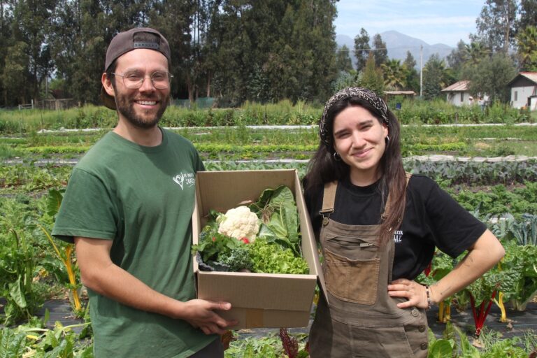 INDAP impulsa acceso a tierras y emprendimiento para juventudes rurales con nuevo programa “Tierra Joven”