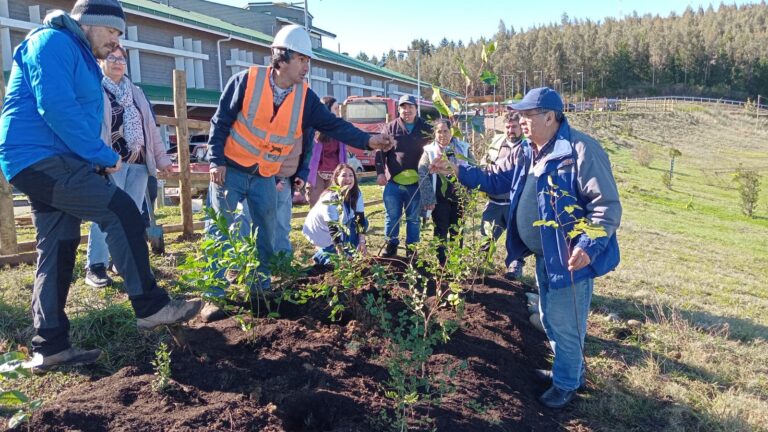 CONAF y Servicio de Salud Osorno dieron el vamos a proyecto de arborización en hospitales interculturales