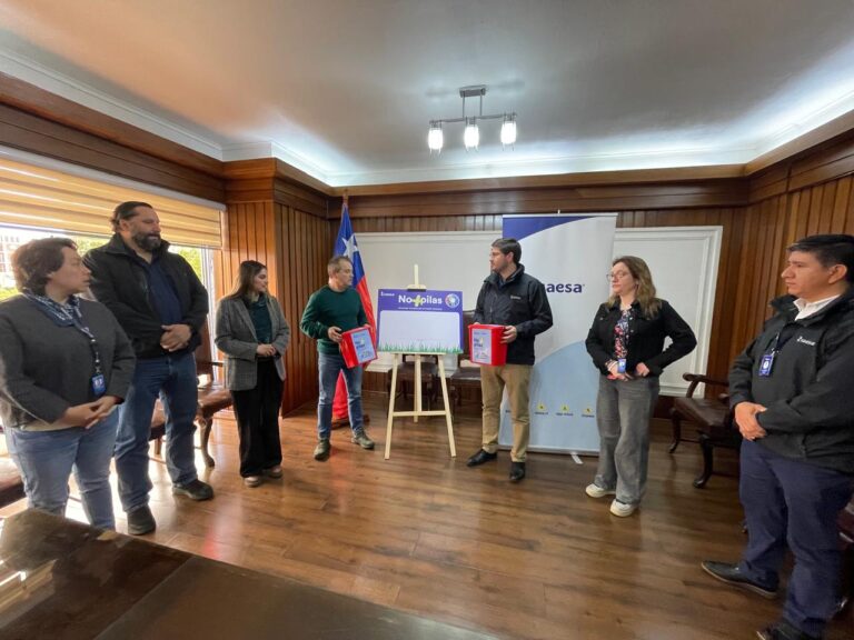 Saesa y Río Bueno se unen para cuidar el medio ambiente con “No + Pilas”