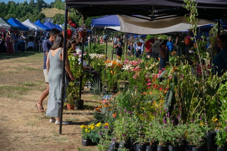 «Expo primavera 2025» se realizará este fin de semana en el Parque Cuarto Centenario