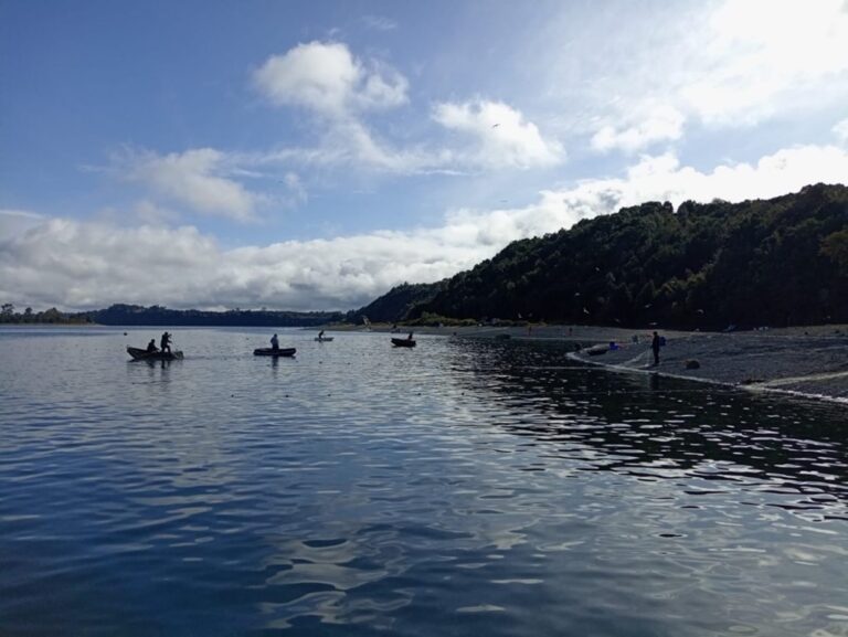 Sernapesca actualiza información sobre escape de salmones registrado en centro cercano a Calbuco