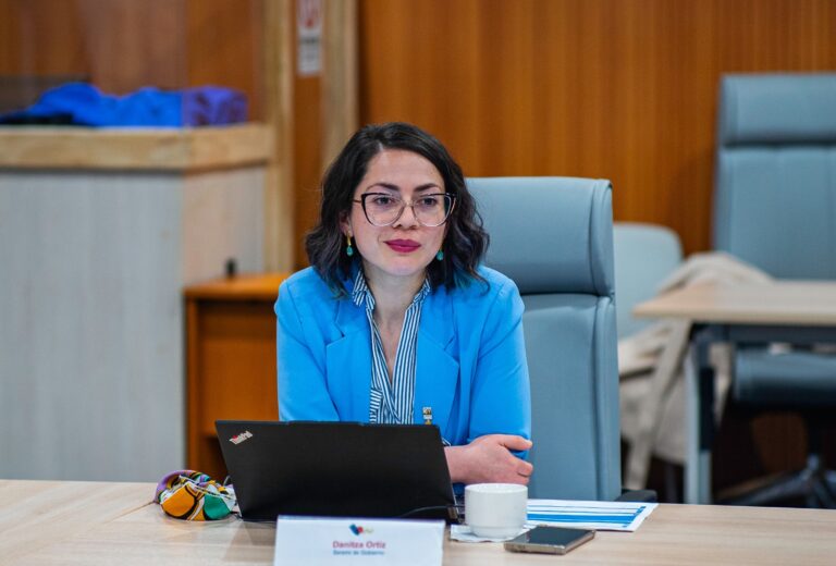 Danitza Ortiz Viveros, seremi de Gobierno de Los Lagos: Hablar de salud mental salva vidas