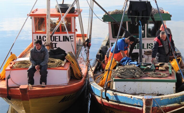 Pesca artesanal: proceso eleccionario renovará el directorio de Fundación Chinquihue para el período 2025-2029