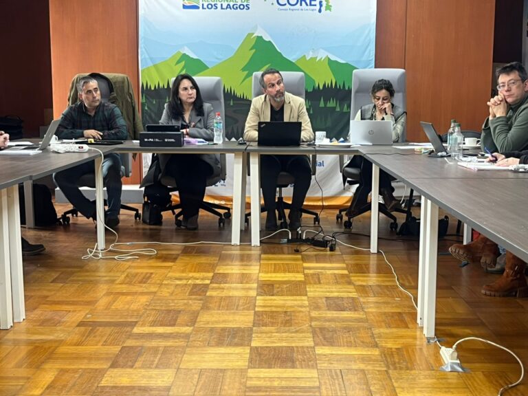 Comisión de Infraestructura del Core oficiará a Servicio de Salud y Vialidad por falta de estacionamientos en Hospital de Puerto Montt