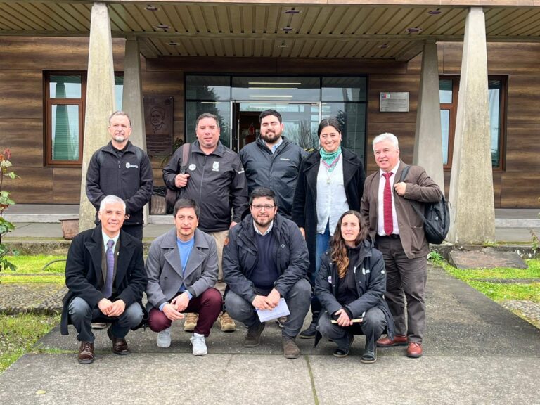Comisión Social destaca programa de Bienestar Integral Adolescente en Puerto Varas e invita a replicar la experiencia en otras comunas 