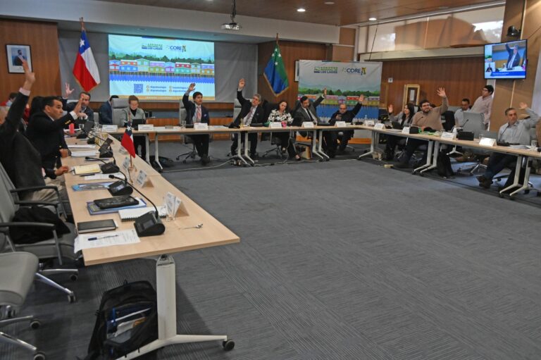Consejo Regional de Los Lagos aprueba más de $300 millones para llevar energía a dos sectores rurales de Fresia