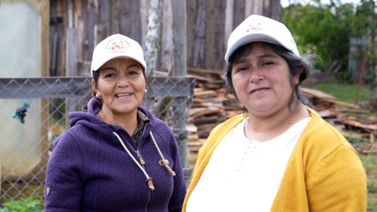 Mujeres rurales: sembrando futuro y equidad