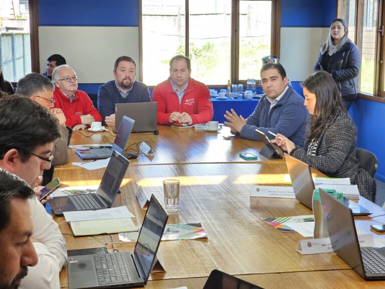 Gobierno Regional presenta Plan “Patagonia Verde 2.0” ante concejos municipales del territorio