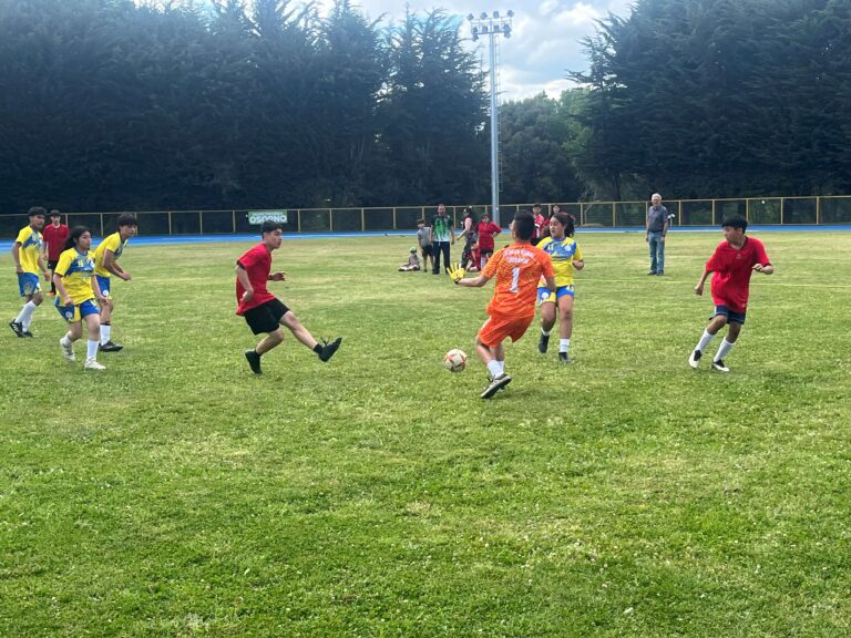 Escuela Rural Agroecológica Pichil se corona campeona de las Olimpiadas Rurales