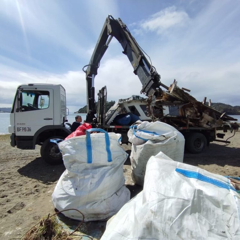 Landes Mussels y comunidad dalcahuina retiran más de 16 toneladas de escombros desde playas de Chiloé