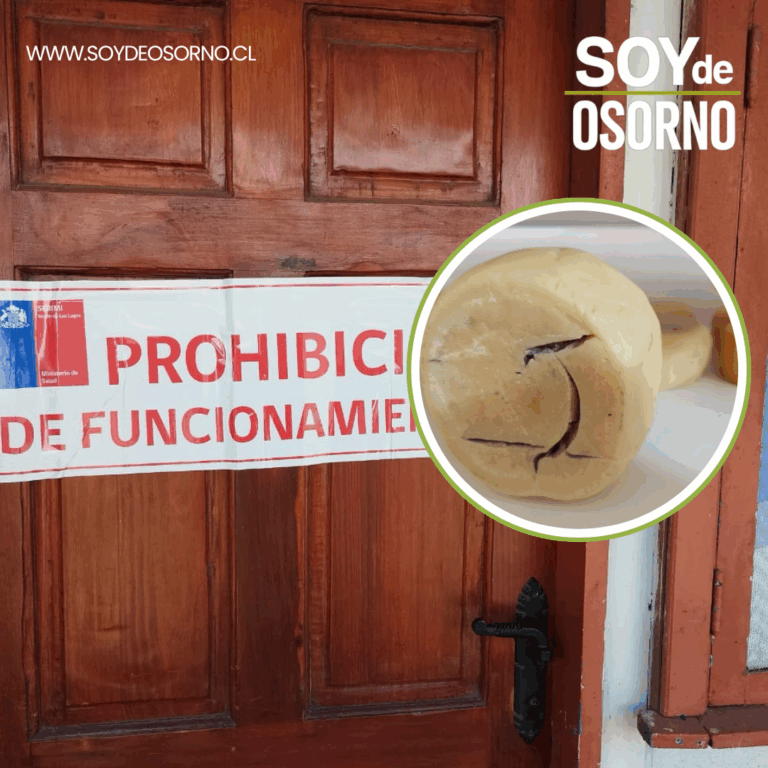 Detectan graves irregularidades sanitarias en cooperativa de quesos en Osorno