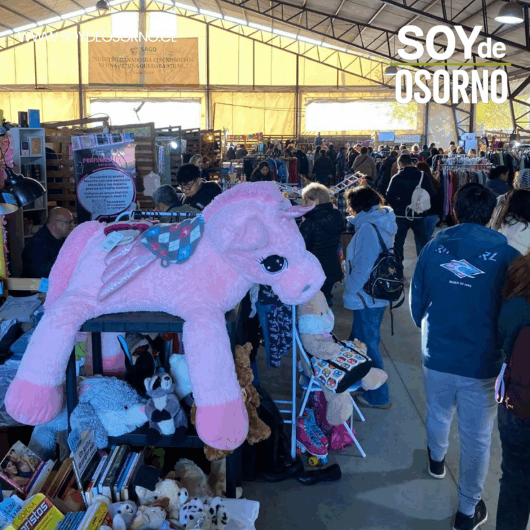 Emprendedores: Últimos cupos para la Gran Venta de Garage Navideña en Osorno