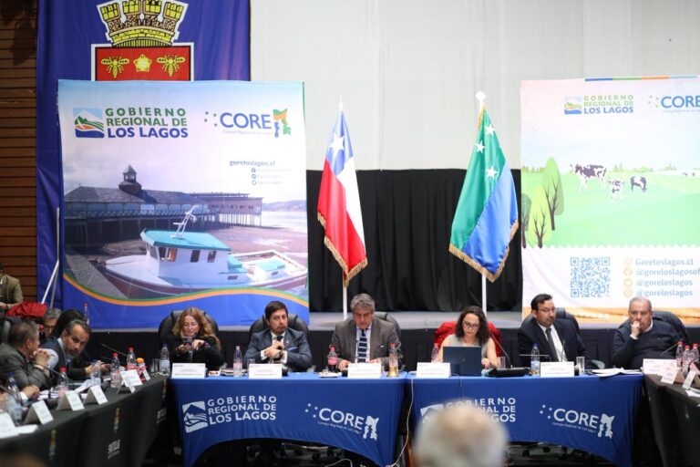 Consejo Regional aprobó dos proyectos para Frutillar por 818 millones de pesos