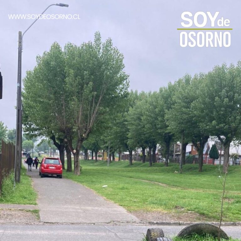 Denuncian uso de área verde como vía de tránsito junto a escuela en el sector Francke de Osorno