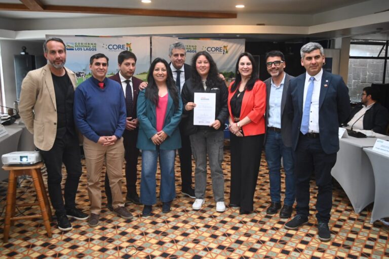 Consejo Regional entrega 44 millones en recursos para iniciativas culturales, sociales y formativas en la provincia de Llanquihue