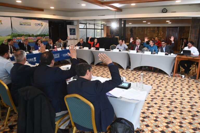 CORE Los Lagos aprueba proyecto de cuatrimotos para reforzar el resguardo fronterizo en las provincias de Llanquihue y Palena