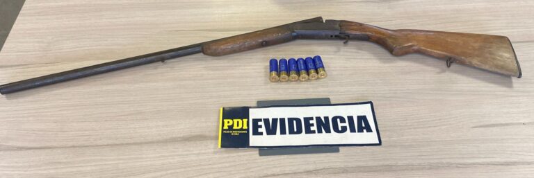 PDI detiene a dos personas e incauta madera nativa y arma de fuego en Corral