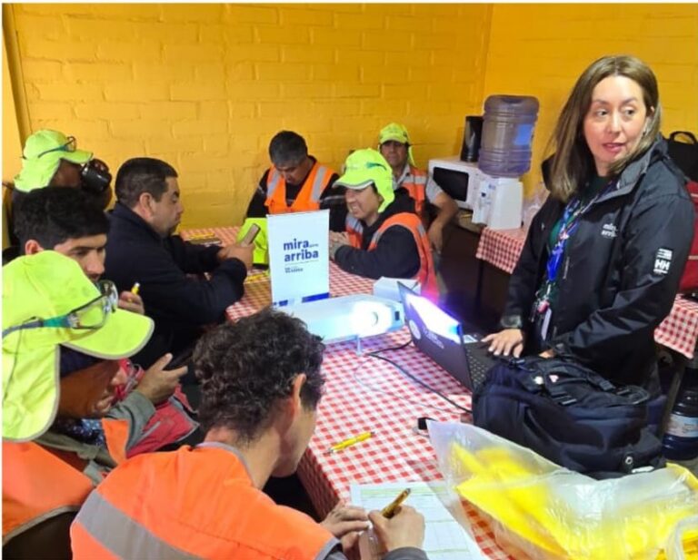 Saesa refuerza prevención eléctrica con charla Mira Para Arriba en La Unión