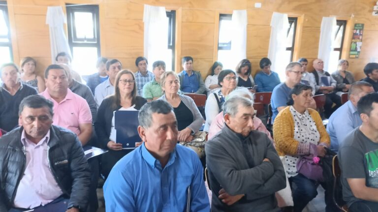 36 familias de las comunidades indígenas de Huillinco Alto y la Montaña recibieron sus anhelados títulos de dominio de la CONADI