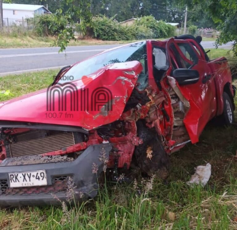 Fatal accidente de tránsito en Río Negro: conductor murió tras impactar con un árbol