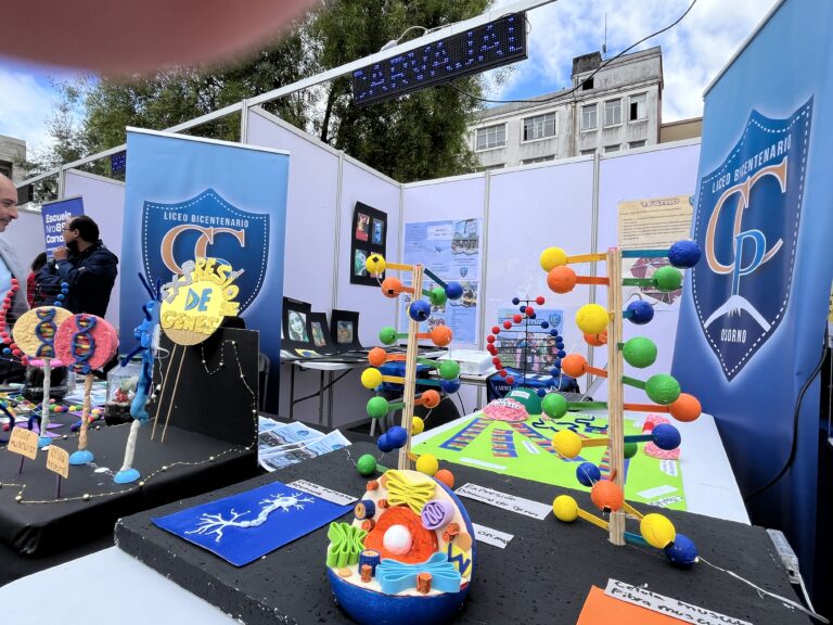 Expo Educa 2025: una fiesta del aprendizaje, el talento y el compromiso con la educación pública en Osorno