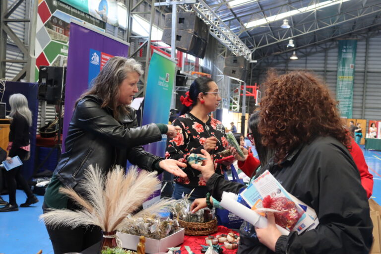 4° Feria de la Mujer y las Disidencias Emprendedoras reunió a organizaciones, servicios públicos y proyectos comunitarios en la Sede Puerto Montt UACh