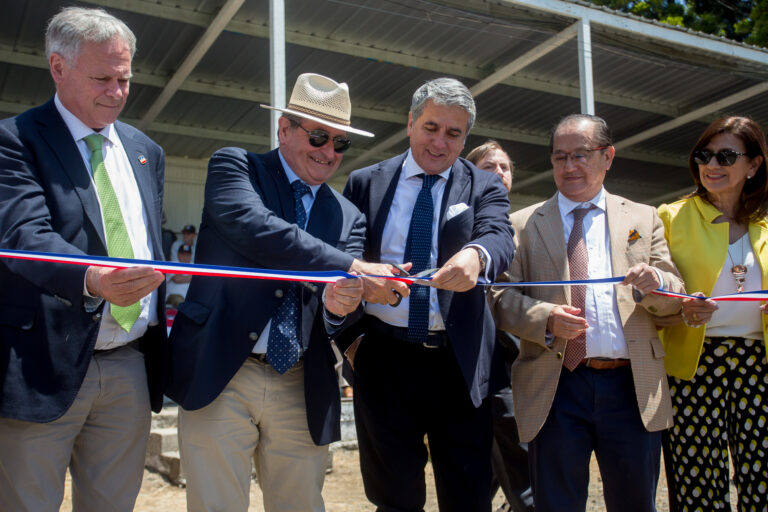 Más de 43.000 personas disfrutaron de SAGO FISUR 2025 que ya prepara su edición Centenaria