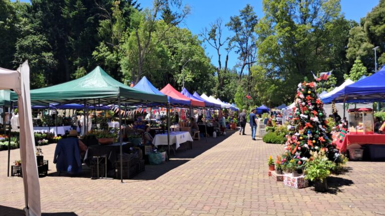 Expo Navidad en Flor llega al Parque Cuarto Centenario en Osorno