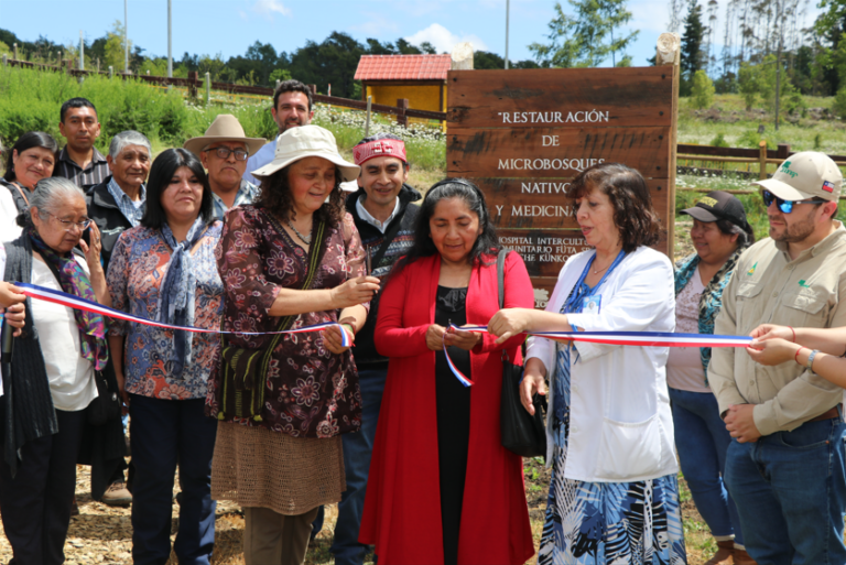 Inauguran dos proyectos de arborización comunitaria en hospitales interculturales de Los Lagos